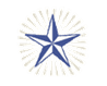 A blue and white star in the middle of a green background.